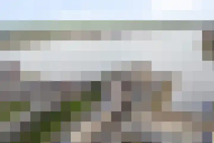 Sterrenkroos 164 Zwolle thumbnail 27