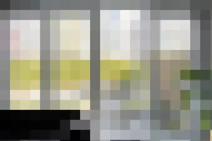 Sterrenkroos 164 Zwolle thumbnail 6