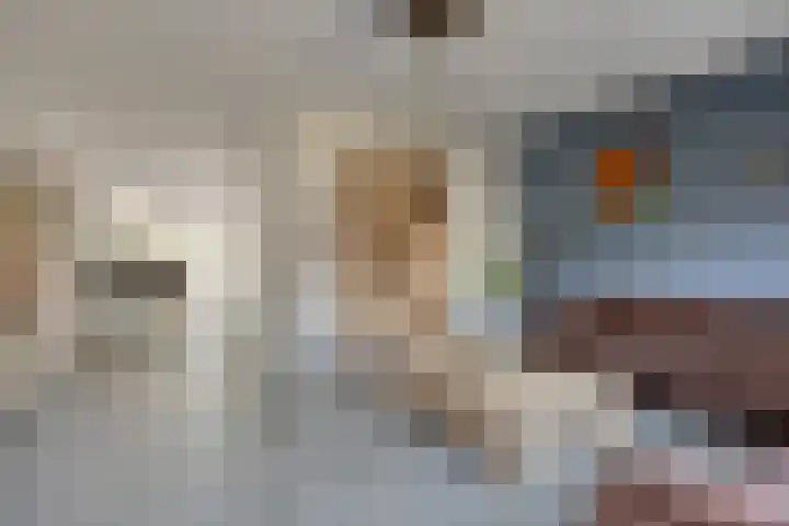 Sterrenkroos 164 Zwolle thumbnail 8