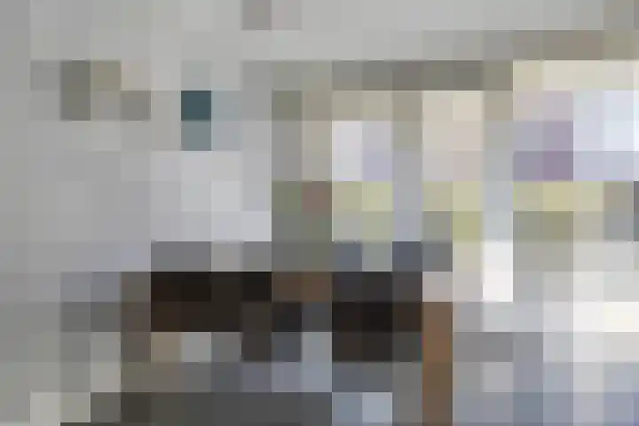 Sterrenkroos 164 Zwolle thumbnail 9