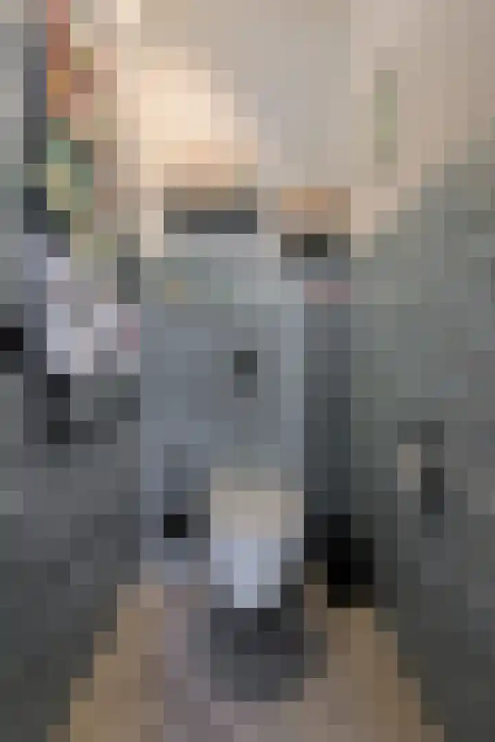 Sterrenkroos 187 Breda thumbnail 17