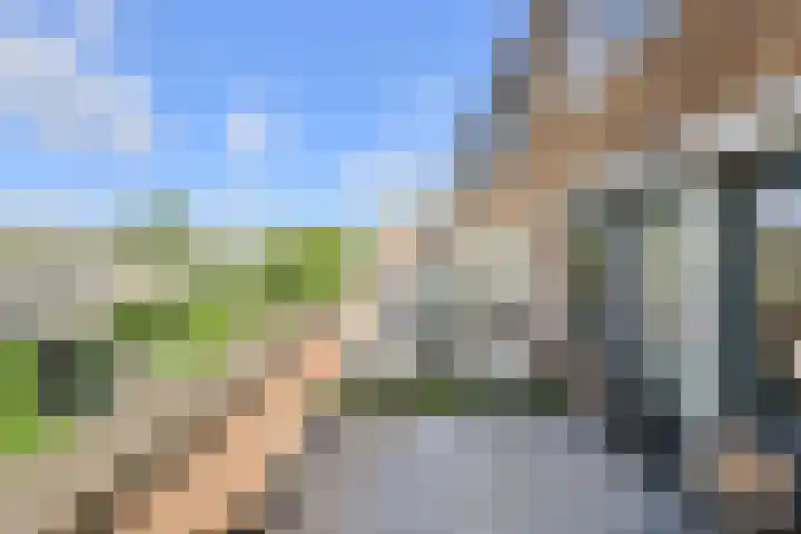 Sterrenkroos 187 Breda thumbnail 23