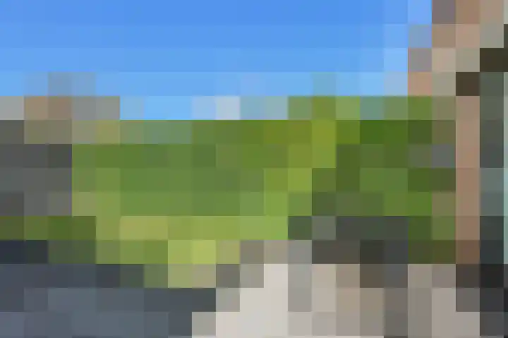 Sterrenkroos 187 Breda thumbnail 42