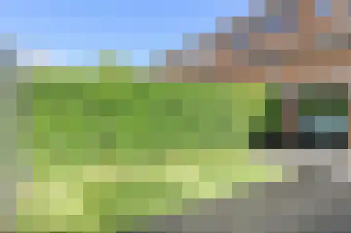 Sterrenkroos 187 Breda thumbnail 44