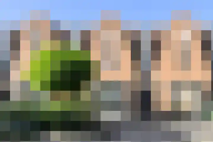 Sterrenkroos 187 Breda thumbnail 49