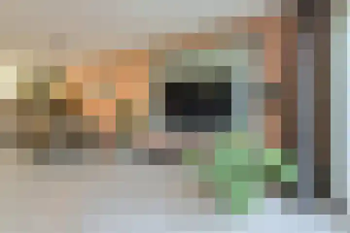 Sterrenkroos 187 Breda thumbnail 8