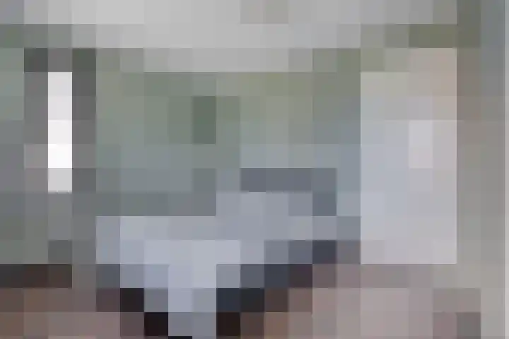 Sterrenkroos 20 Bergen op Zoom thumbnail 12