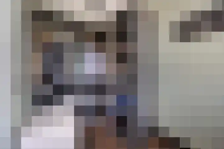 Sterrenkroos 20 Bergen op Zoom thumbnail 14