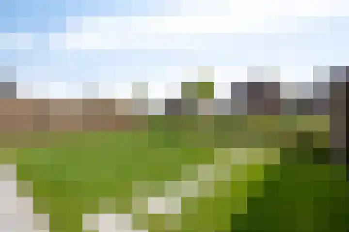 Sterrenkroos 20 Bergen op Zoom thumbnail 30