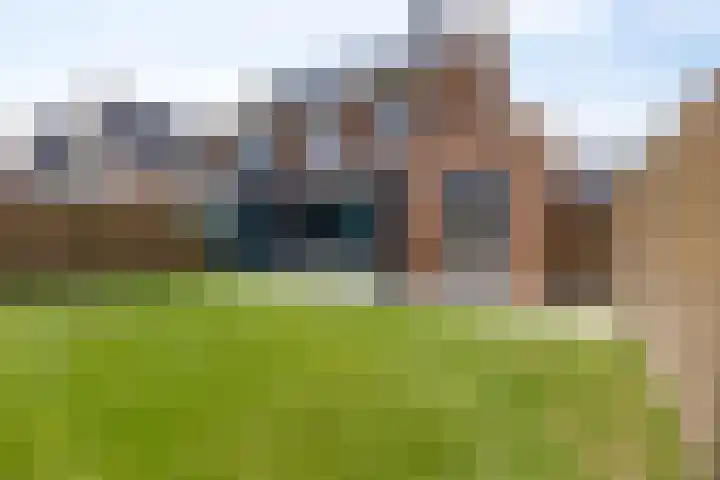 Sterrenkroos 20 Bergen op Zoom thumbnail 31