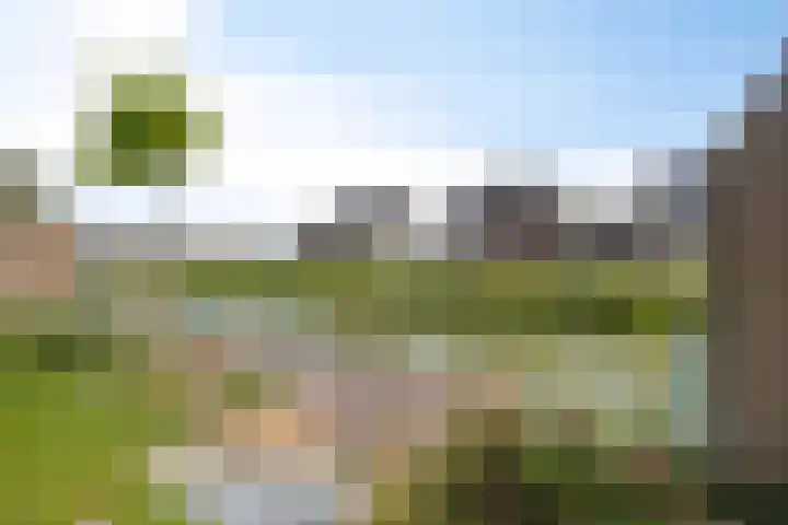 Sterrenkroos 20 Bergen op Zoom thumbnail 32