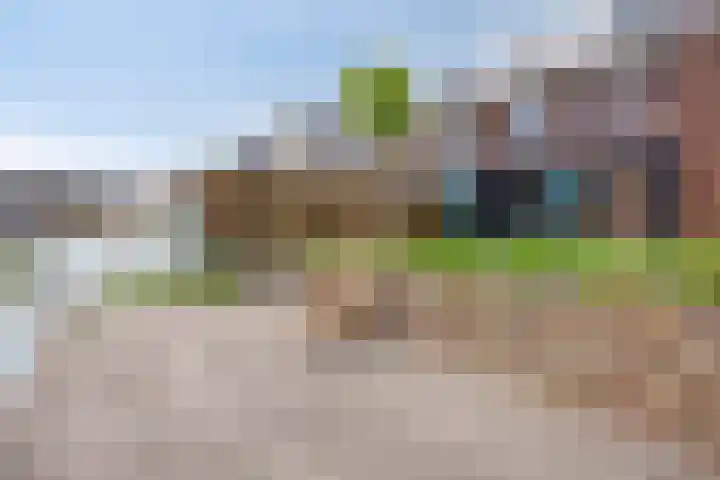 Sterrenkroos 20 Bergen op Zoom thumbnail 33