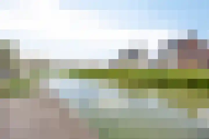 Sterrenkroos 20 Bergen op Zoom thumbnail 34