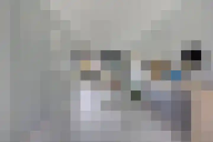 Sterrenkroos 20 Bergen op Zoom thumbnail 4