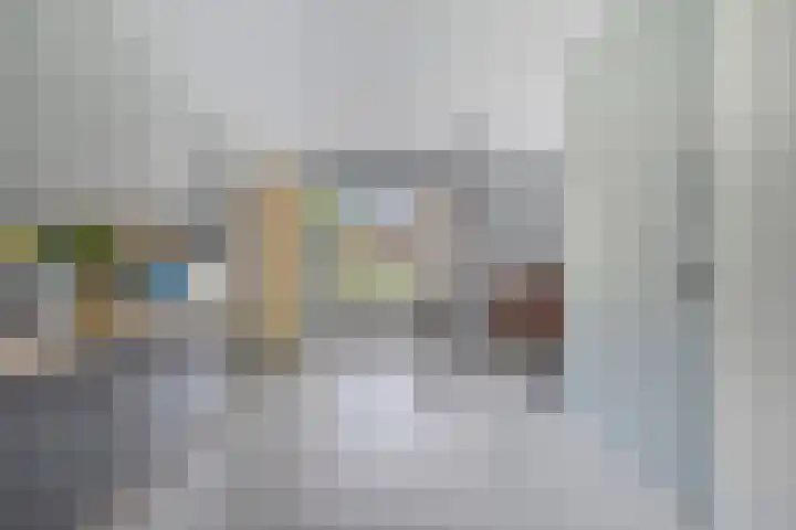 Sterrenkroos 20 Bergen op Zoom thumbnail 5