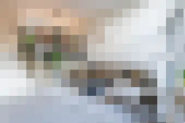 Sterrenkroos 200 Breda thumbnail 10