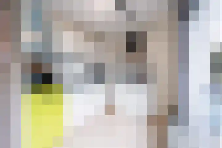 Sterrenkroos 200 Breda thumbnail 15