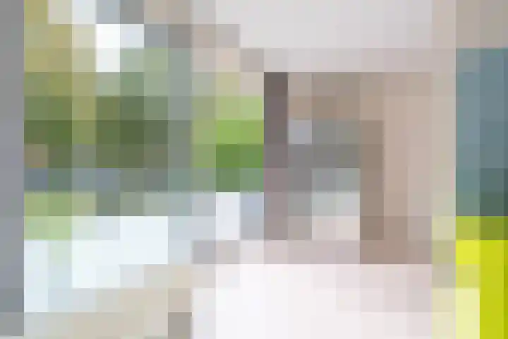Sterrenkroos 200 Breda thumbnail 16