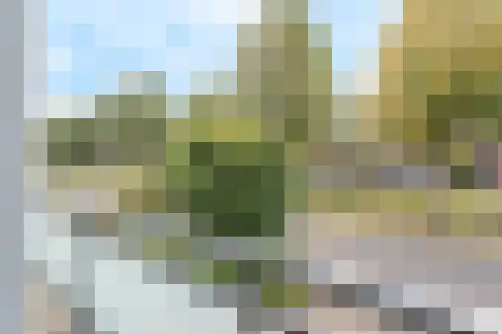 Sterrenkroos 200 Breda thumbnail 17