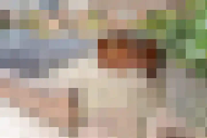 Sterrenkroos 200 Breda thumbnail 30