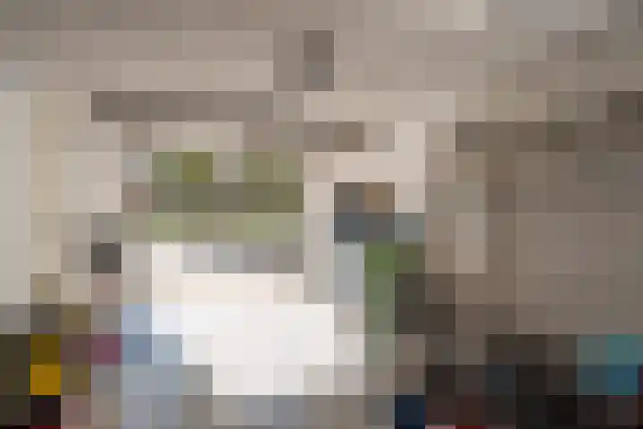 Sterrenkroos 200 Breda thumbnail 34