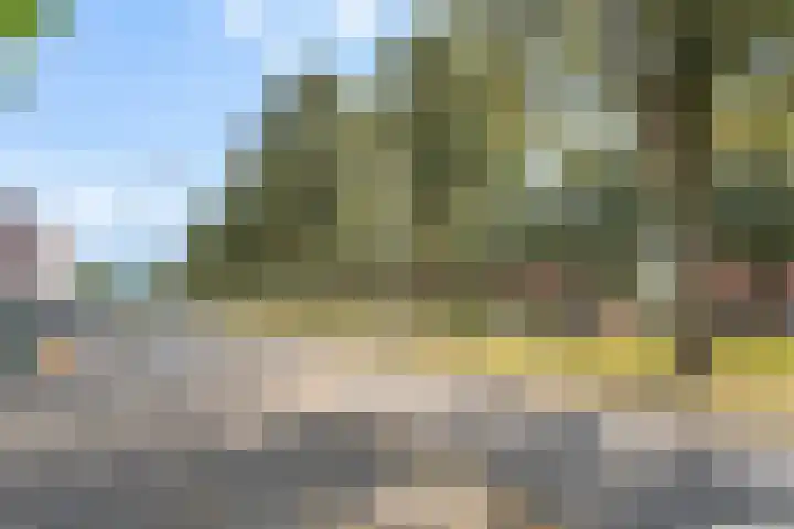 Sterrenkroos 200 Breda thumbnail 36