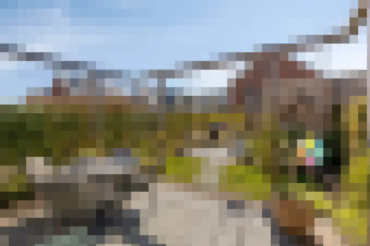 Sterrenkroos 23 Bergen op Zoom thumbnail 38