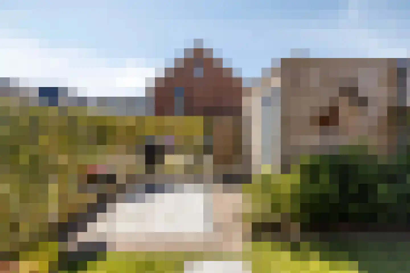 Sterrenkroos 23 Bergen op Zoom thumbnail 39