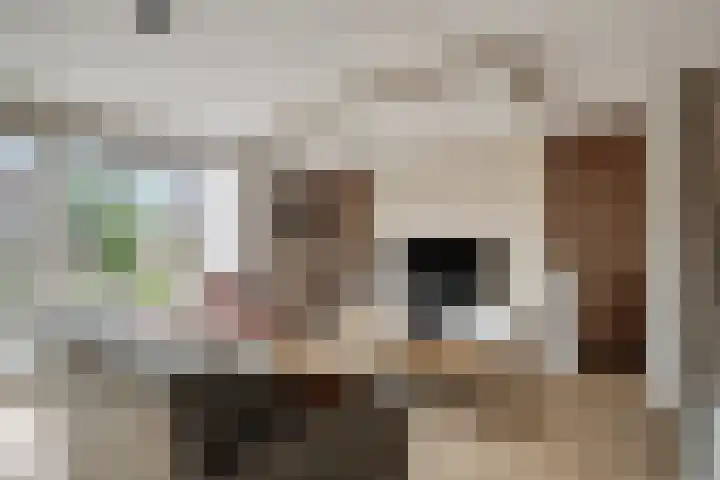 Sterrenkroos 25 Zwolle thumbnail 13