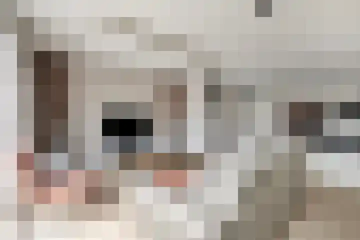 Sterrenkroos 25 Zwolle thumbnail 16