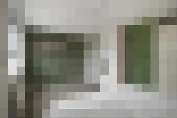 Sterrenkroos 25 Zwolle thumbnail 26