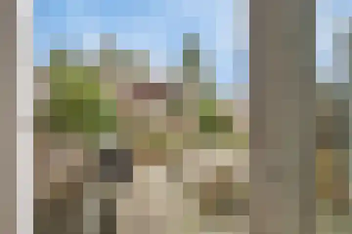 Sterrenkroos 25 Zwolle thumbnail 34