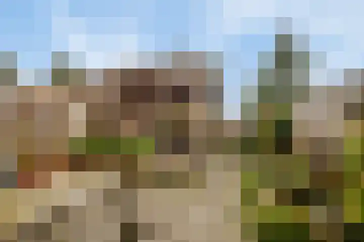 Sterrenkroos 25 Zwolle thumbnail 38