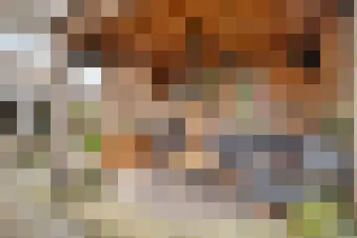 Sterrenkroos 25 Zwolle thumbnail 39