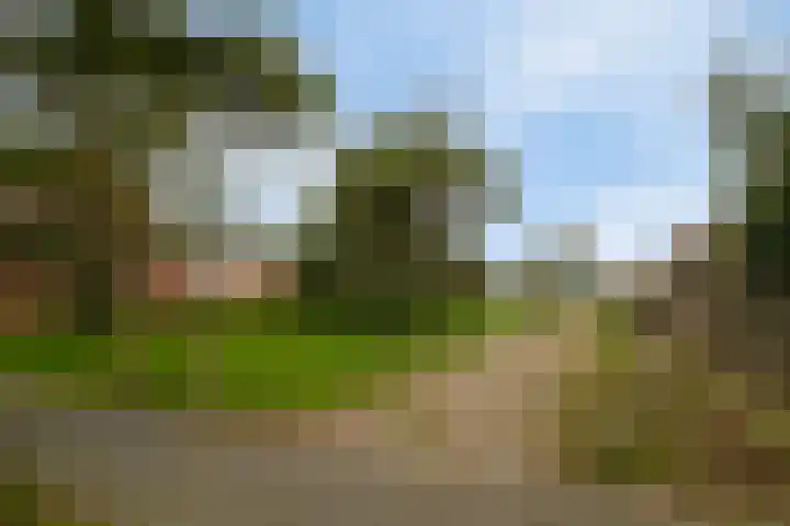 Sterrenkroos 25 Zwolle thumbnail 41