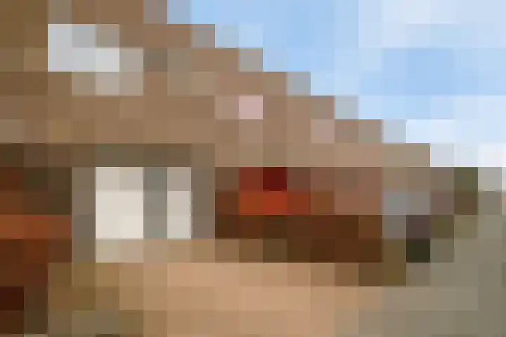 Sterrenkroos 25 Zwolle thumbnail 5