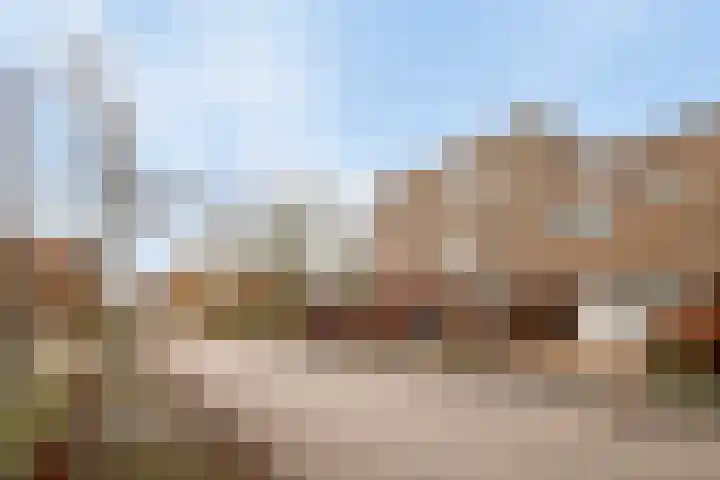 Sterrenkroos 25 Zwolle thumbnail 6