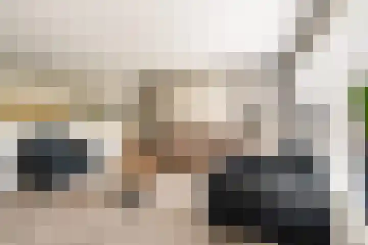 Sterrenkroos 35 Zwolle thumbnail 11