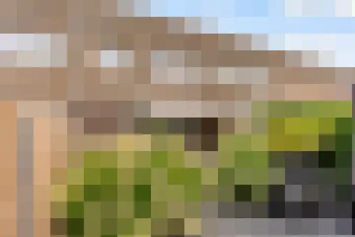 Sterrenkroos 35 Zwolle thumbnail 28