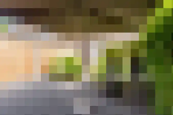 Sterrenkroos 35 Zwolle thumbnail 30