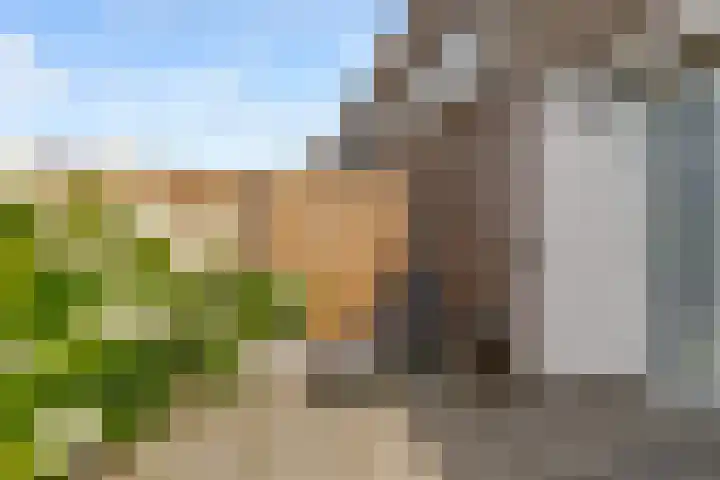 Sterrenkroos 35 Zwolle thumbnail 31