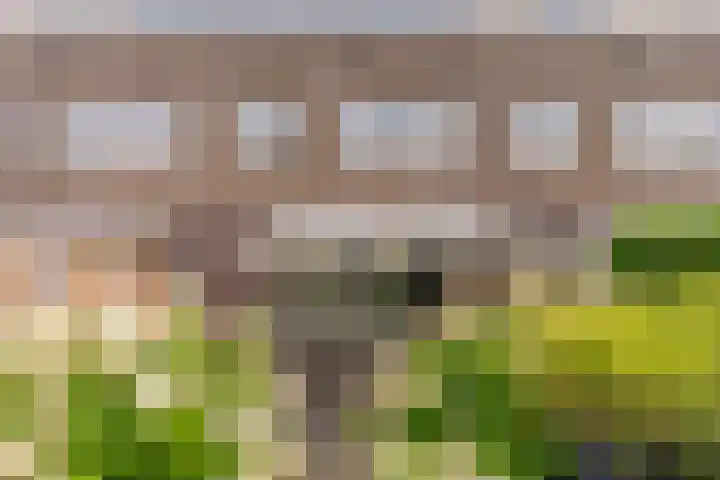 Sterrenkroos 35 Zwolle thumbnail 33