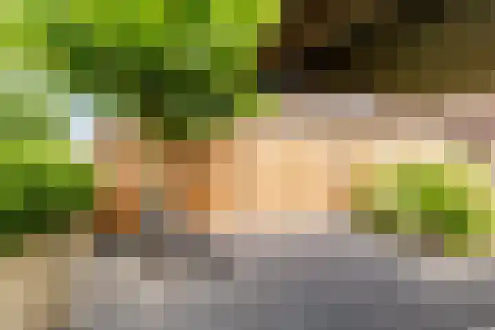 Sterrenkroos 35 Zwolle thumbnail 34