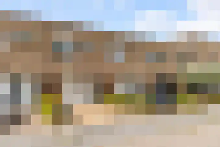 Sterrenkroos 35 Zwolle thumbnail 35
