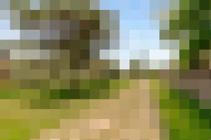 Sterrenkroos 35 Zwolle thumbnail 36