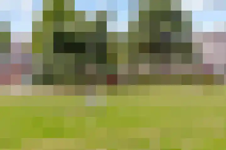 Sterrenkroos 35 Zwolle thumbnail 37