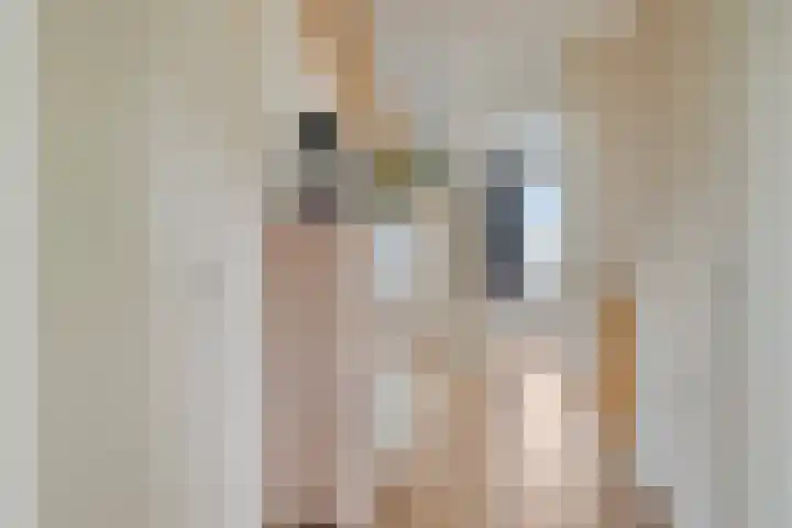 Sterrenkroos 36 Roelofarendsveen thumbnail 12