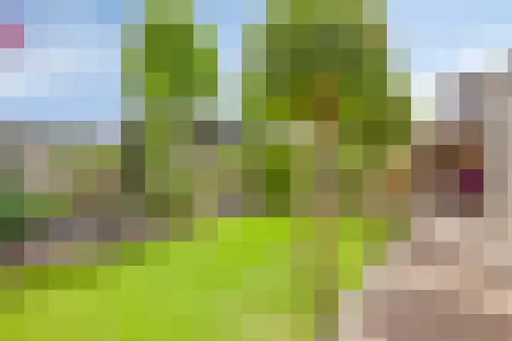 Sterrenkroos 36 Roelofarendsveen thumbnail 22
