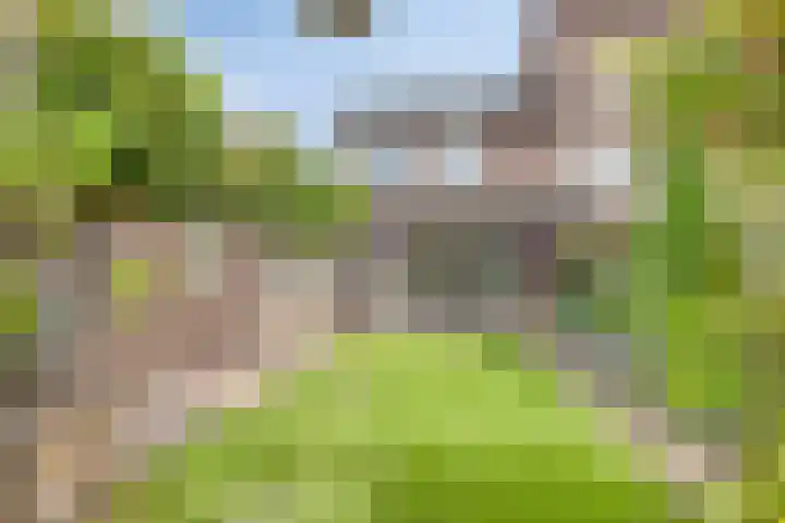 Sterrenkroos 36 Roelofarendsveen thumbnail 26