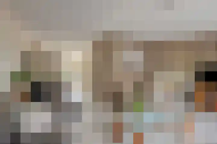 Sterrenkroos 36 Roelofarendsveen thumbnail 6